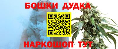 мдпв Брянск