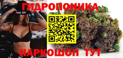 мдпв Брянск