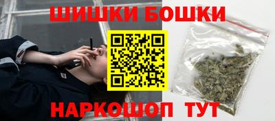 мдпв Брянск