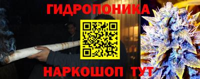 2c-b Боровичи