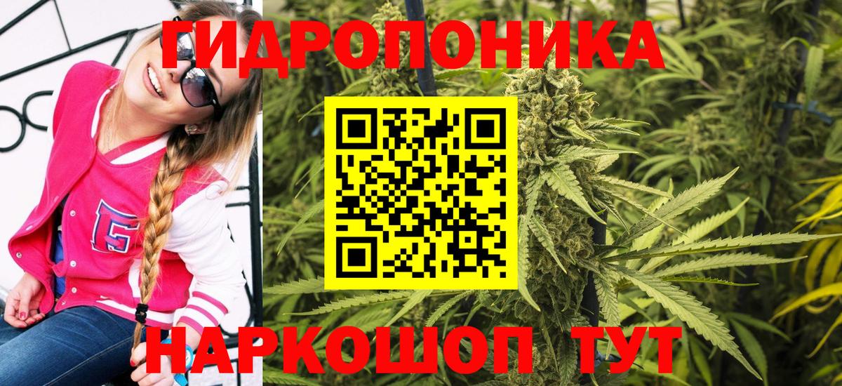 Бошки Шишки OG Kush  Каннабис AK-47  Каннабис OG Kush  Азнакаево  Вход с VPN 